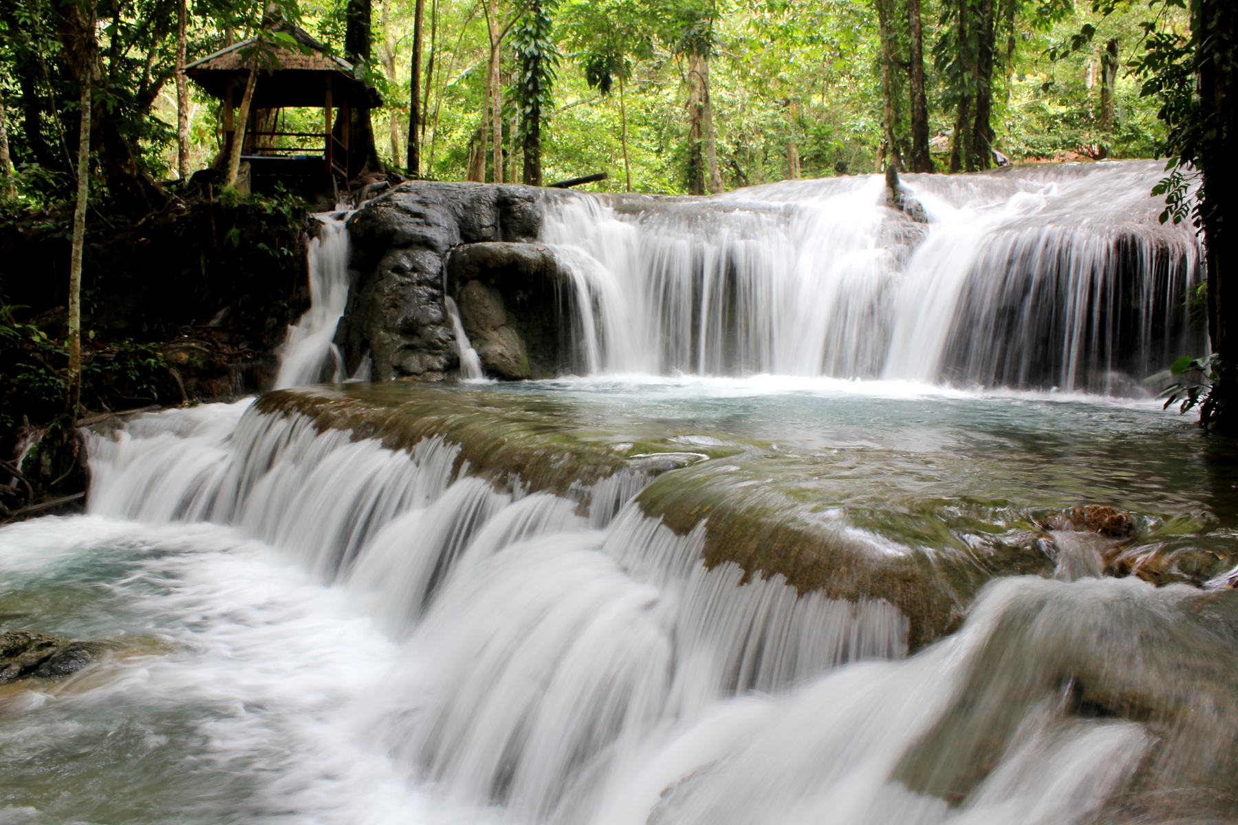 Cagar Alam Salodik Banggai Sulawesi Tengah